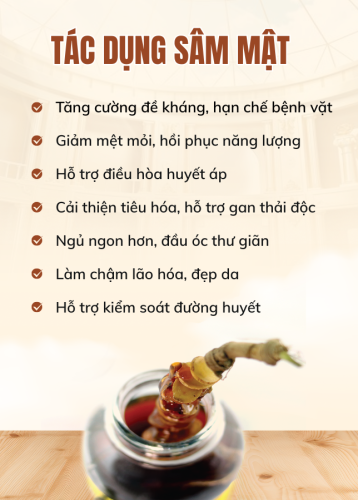 Công dụng của sâm Ngọc Linh ngâm mật ong?